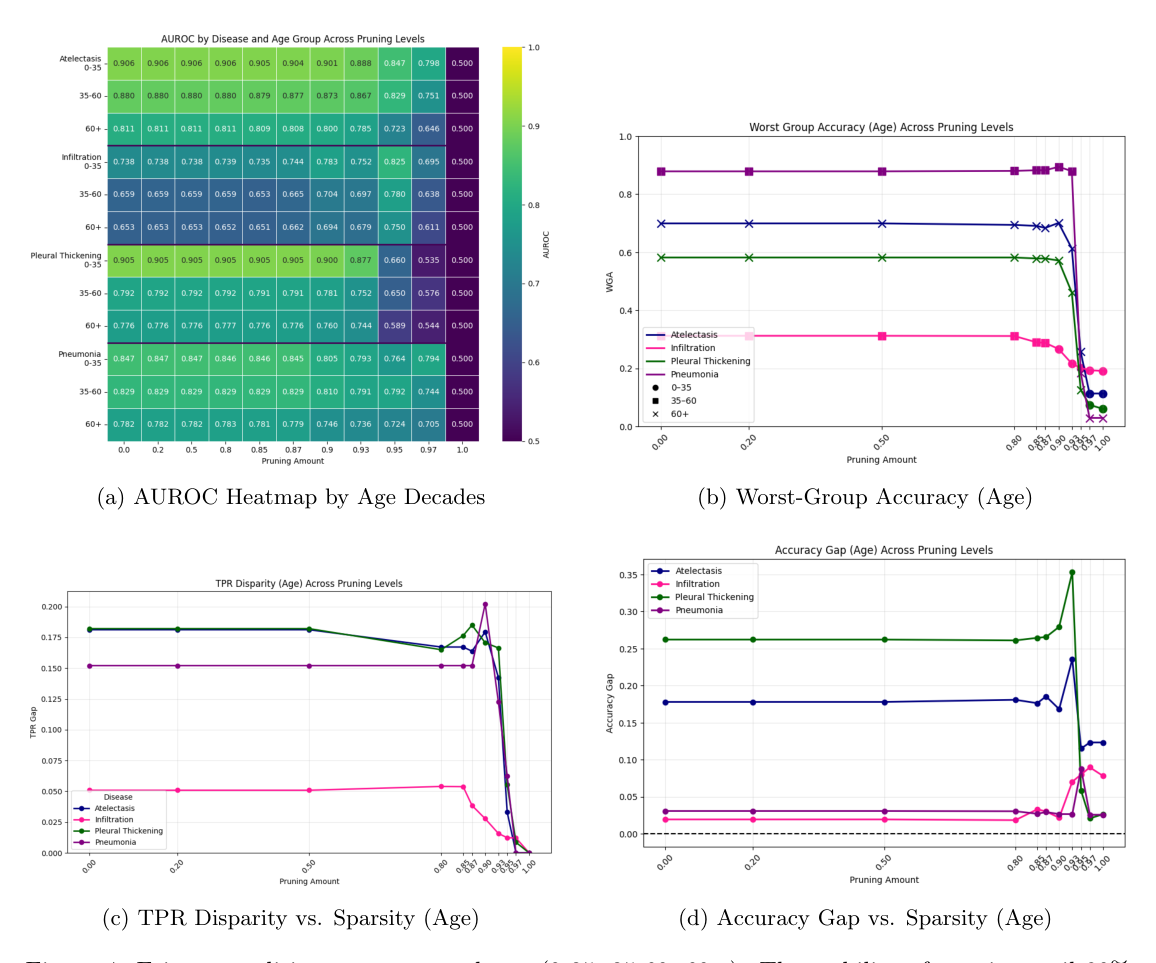 Four charts comparing AUROC, worst-group accuracy, true-positive-rate disparity, and accuracy gaps across age groups and pruning levels